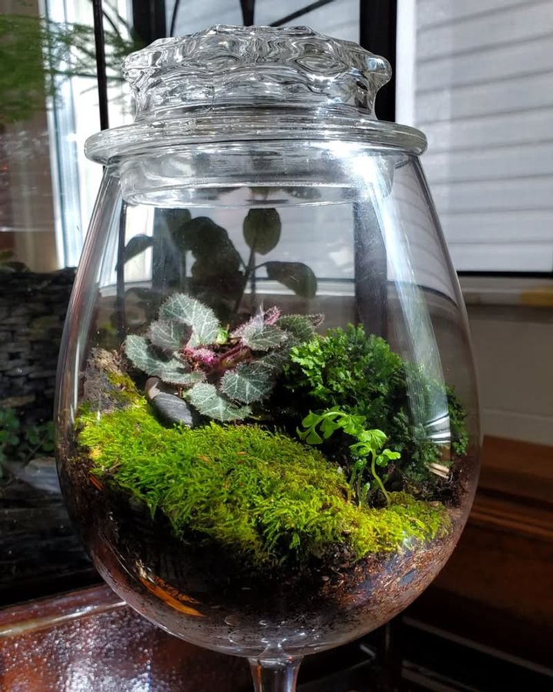 Terrarium Building Creates Miniature Worlds