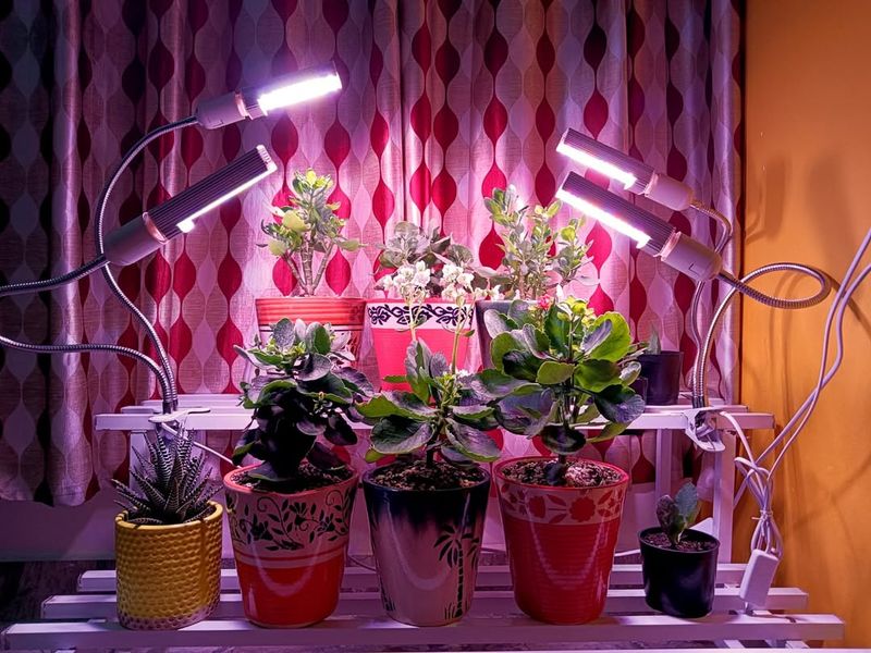 Invest In Quality Grow Lights