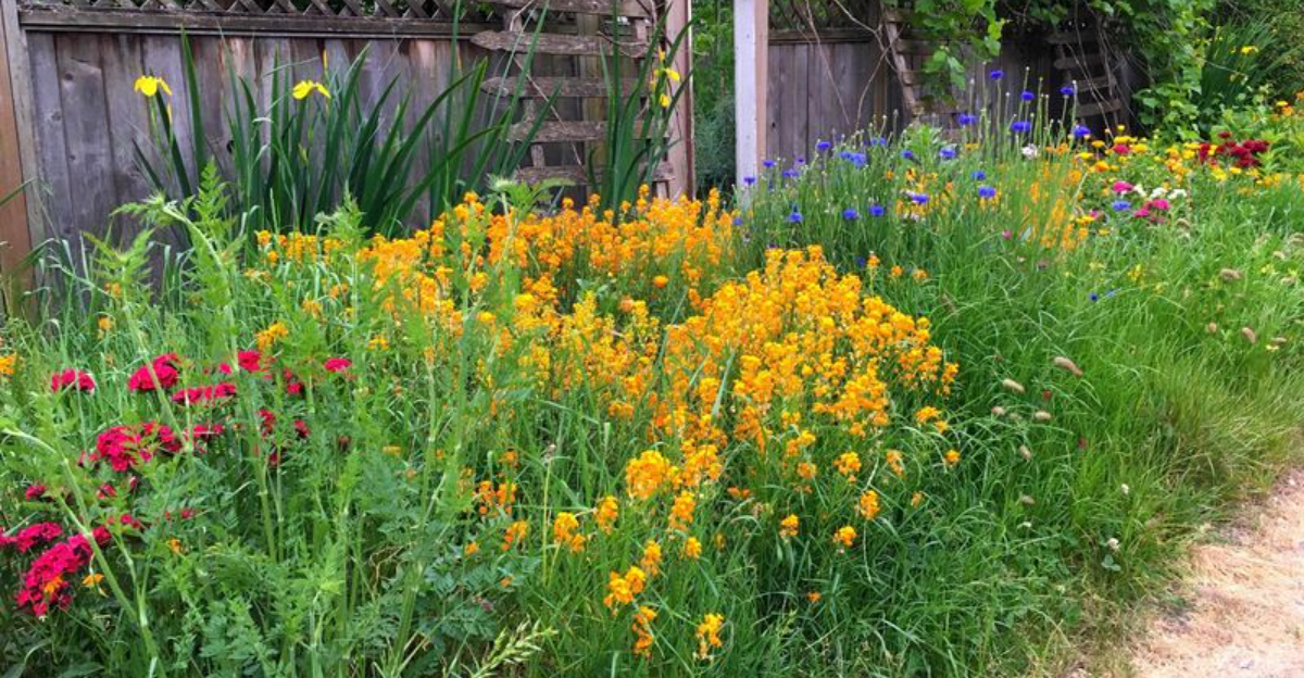 plants (featured image)