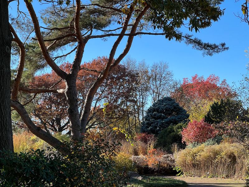 Cleaner Air for Everyone to Breathe