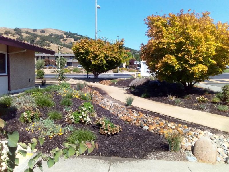 What Inspections And Compliance Checks Look Like This Year