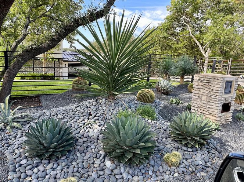 Drought-Resistant Plants Reduce Fire Fuel