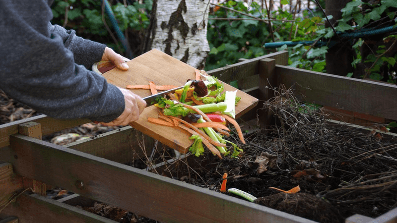 Add Compost Regularly To Your Garden Beds