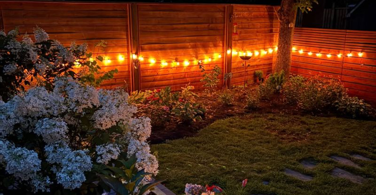 warm christmas lights