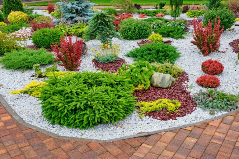 Beautiful paving stones, bright flowers and shrubs