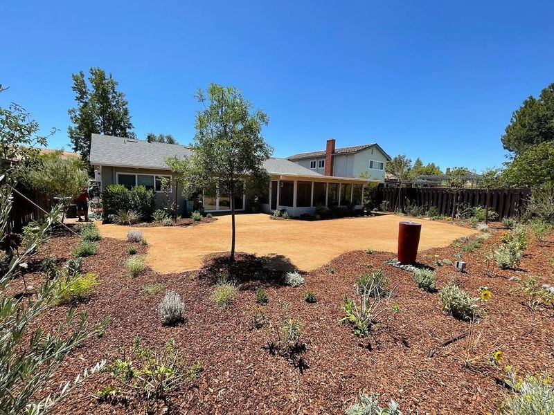 Native Idaho Grasses Replace Thirsty Lawns