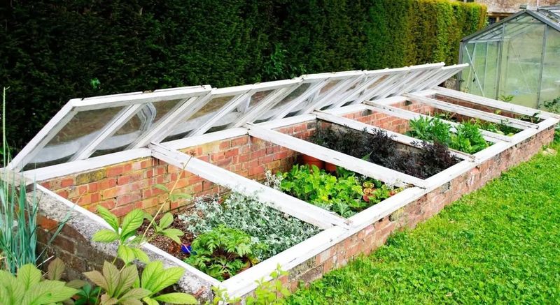 Cold Frames Extend The Growing Season