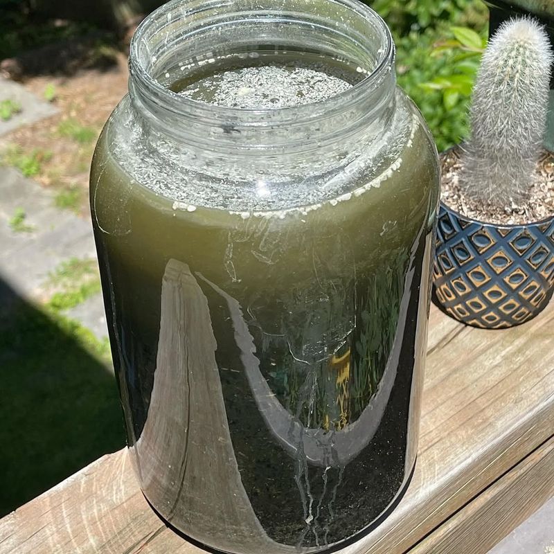 One Extra Ingredient You Can Add If Your Plant Looks Seriously Tired