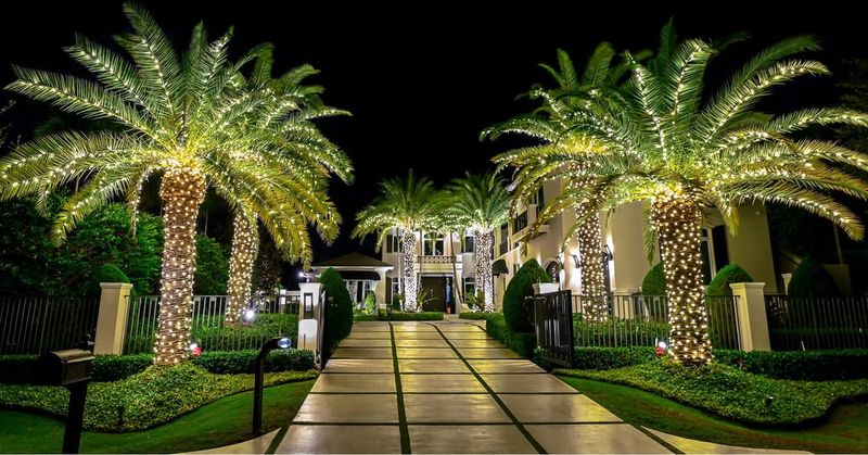 The Light Colors Florida Families Choose To Make Driveways Shine