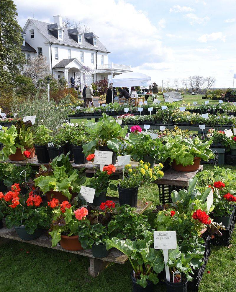 Revenue Generation Fuels Daily Operations