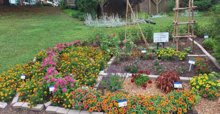 plants (featured image)