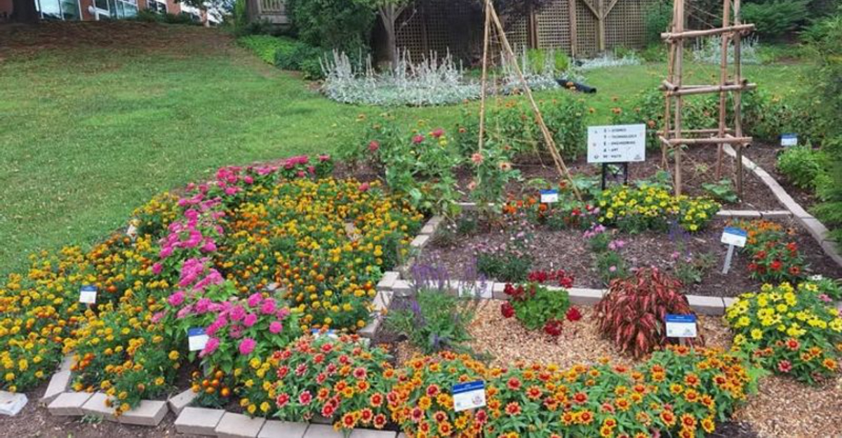 How Local Plant Sales Help Virginia’s Community Arboretum Thrive
