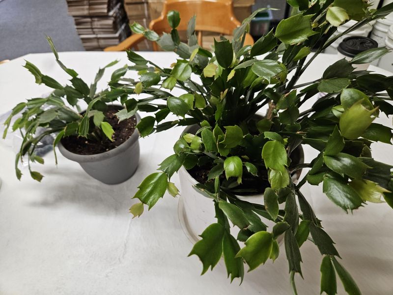 The Simple Nighttime Routine That Actually Works