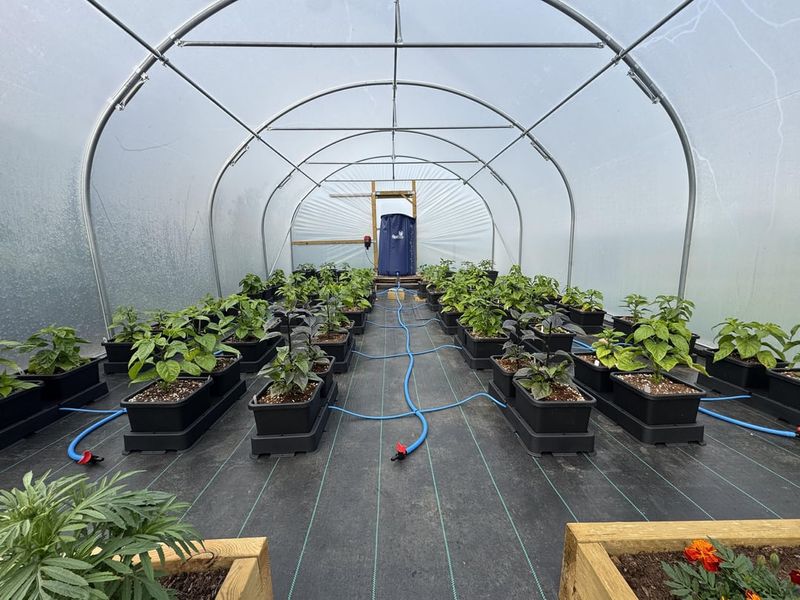 Bubble Wrap Insulation