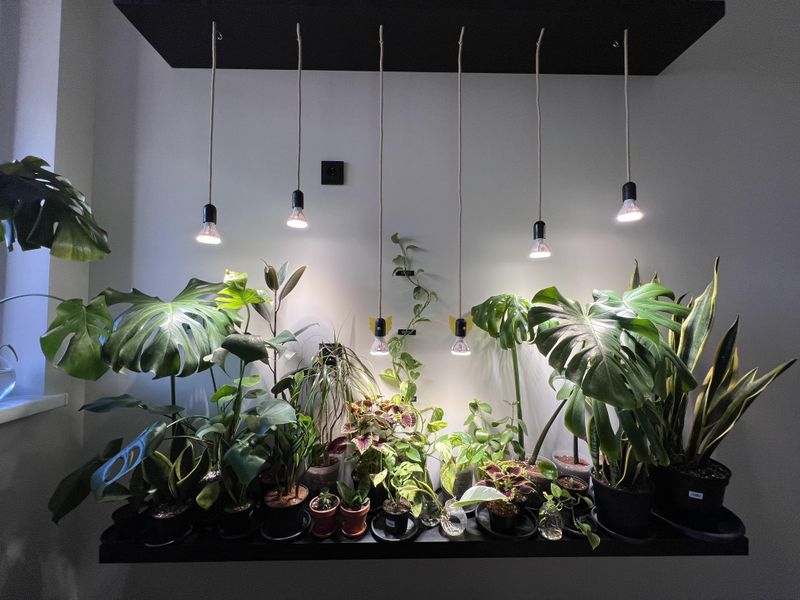Add Grow Lights To Combat Short Winter Days