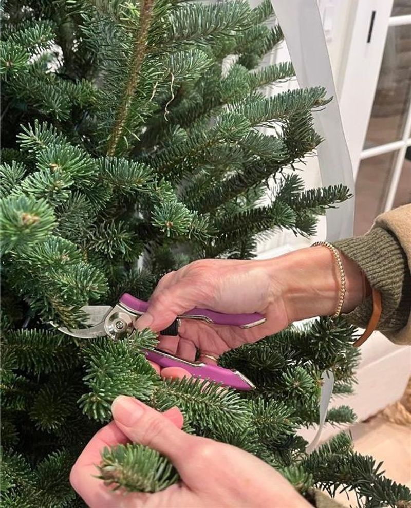 Using Pruned Branches And Fallen Greens As Seasonal Decor