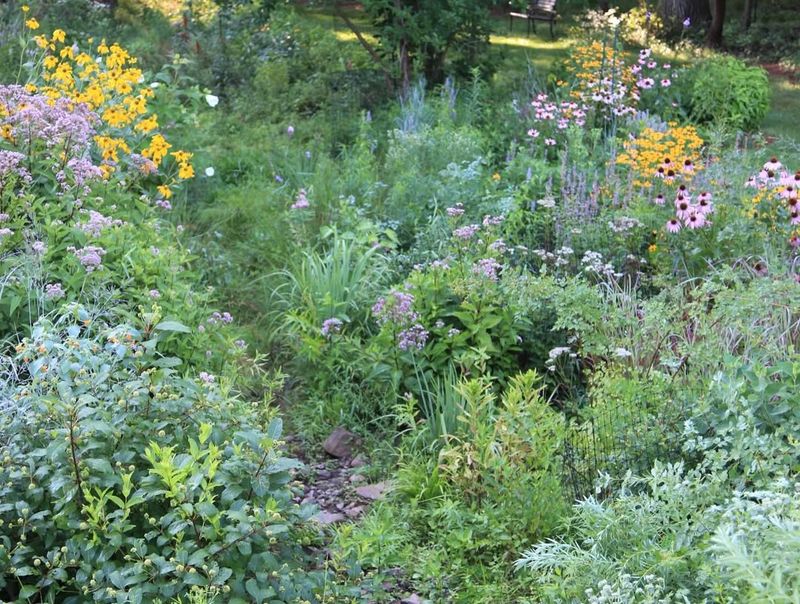 Native Plant Borders Along Property Lines