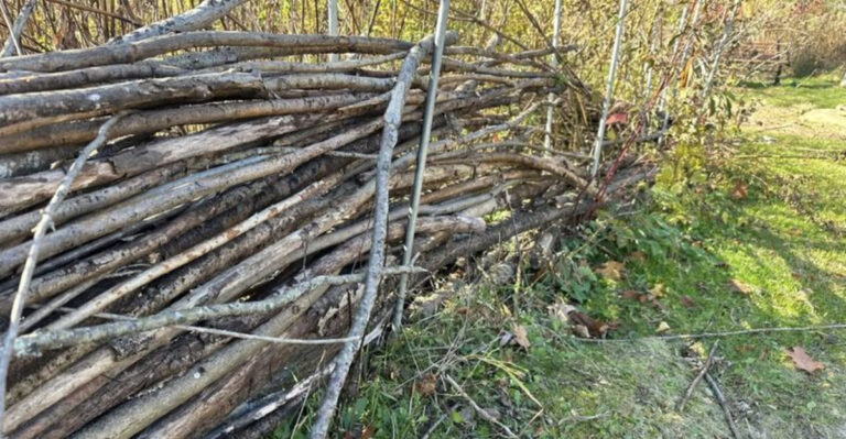 Wildlife Corridors (featured image)