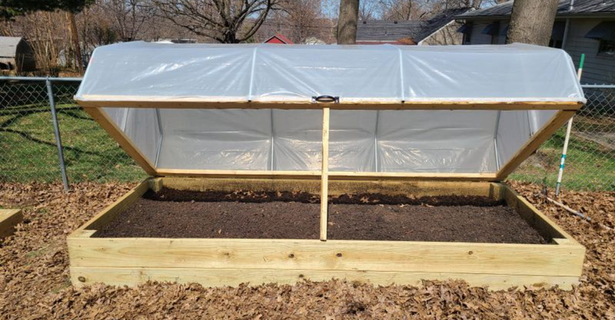 cold frame (featured image)