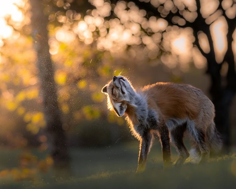 Stay Calm And Observe From A Distance