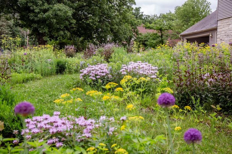 The Hidden Financial Benefits Of Water Savings And Reduced Maintenance In Meadows