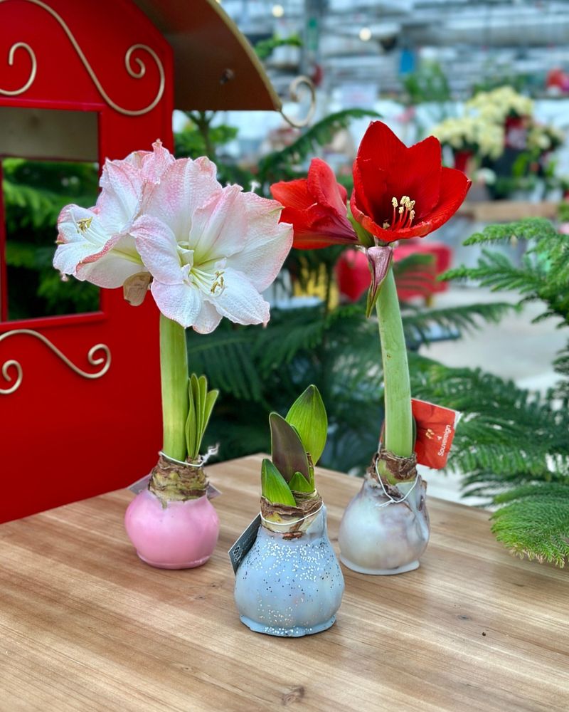 Provide Immediate Physical Support With Stakes