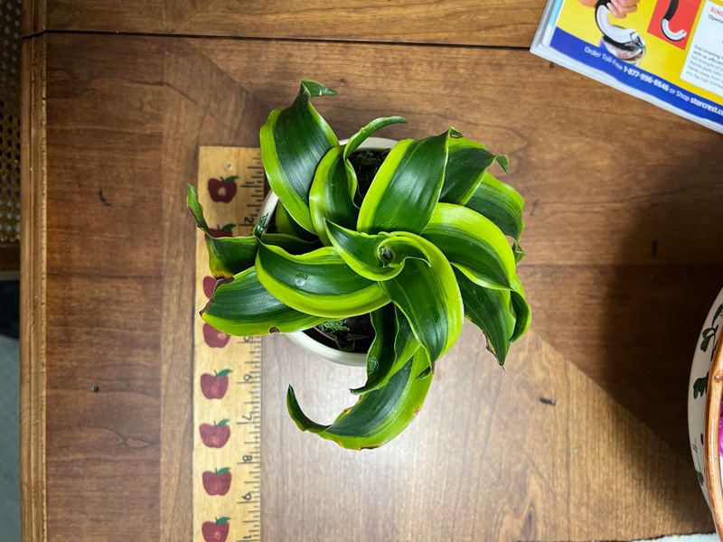 What Happens When You Rotate Too Fast Or Too Little