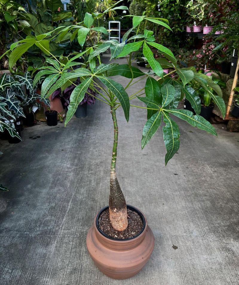 Why Consistent Care Matters More Than Luck