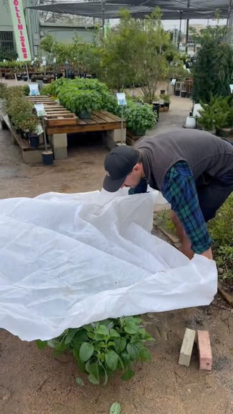 Protecting Pots From Sudden Temperature Drops