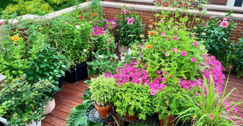 How Oregon Gardeners Keep Outdoor Potted Plants Alive Through The ...