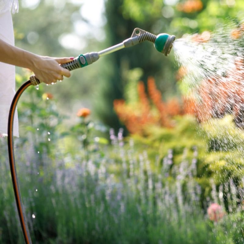 Breathing in Fresh Garden Scents While Watering