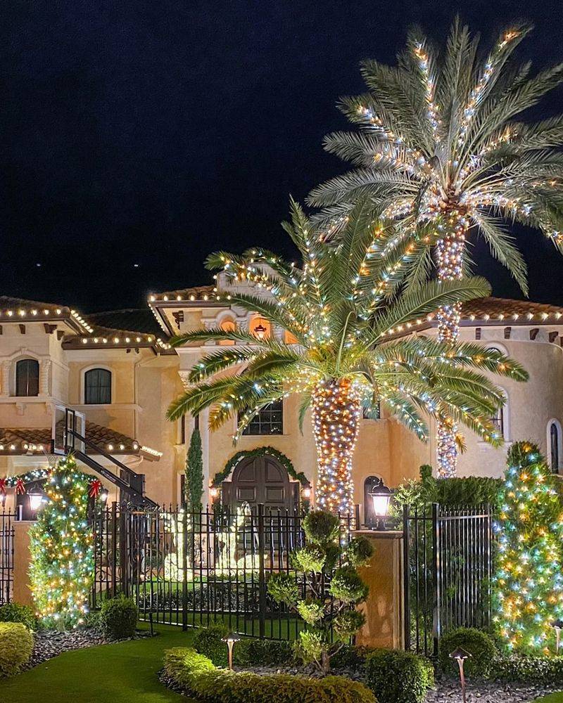 Why Palms Are The Perfect Holiday Decor For Florida Homes
