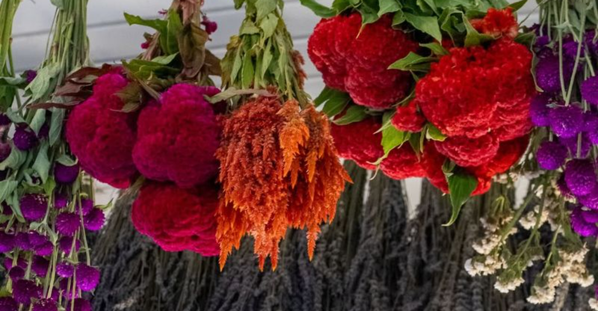 drying flowers upside down