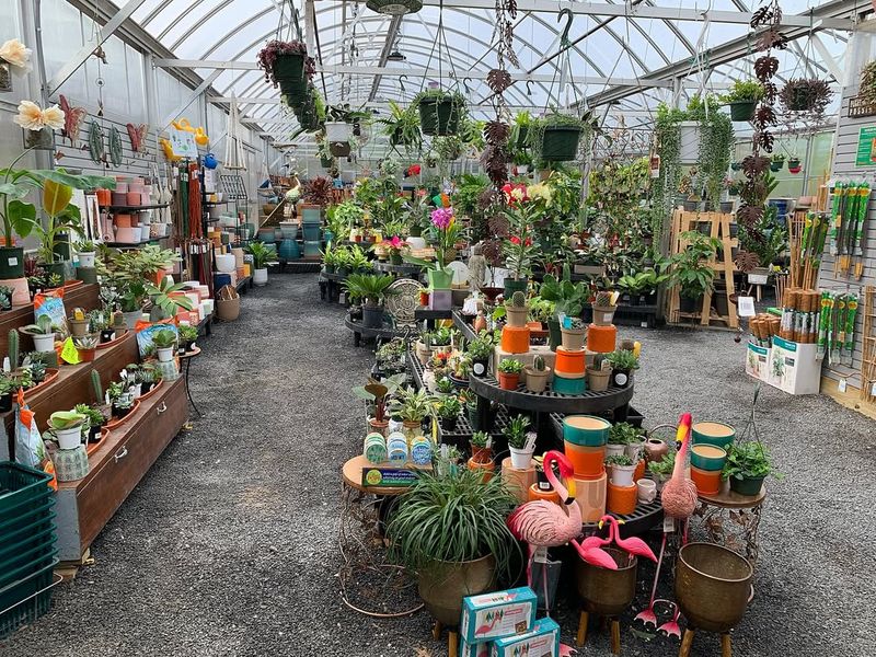 Greenhouse Temperature Management Becomes Priority