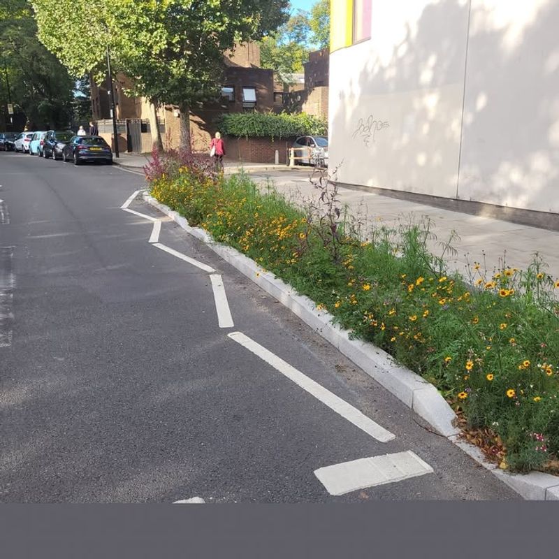 Educational Resources and Community Support