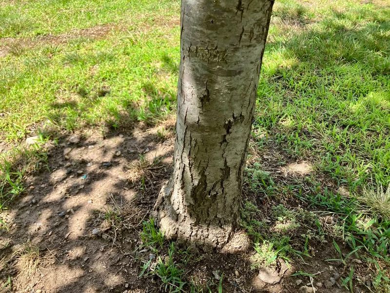 Early Signs That Damage Is Getting Worse