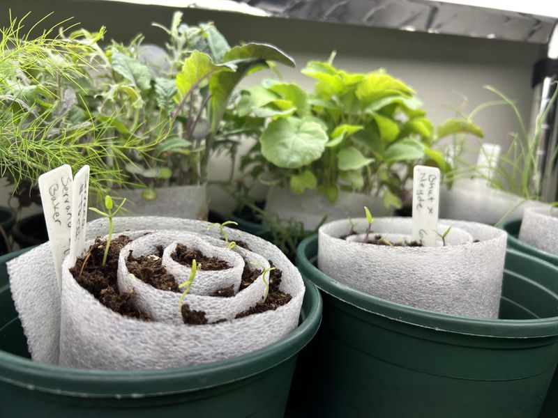 The Simple Materials You Need To Make One