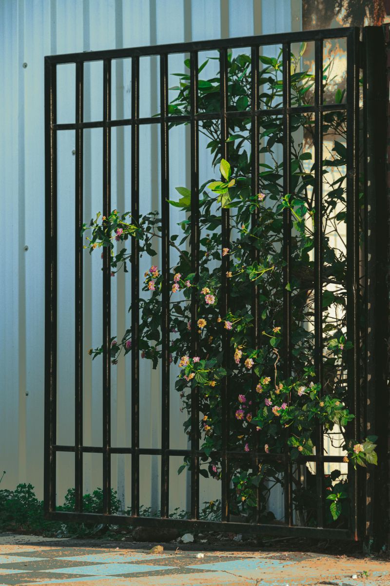 Where Your Property Rights Begin At The Fence Line