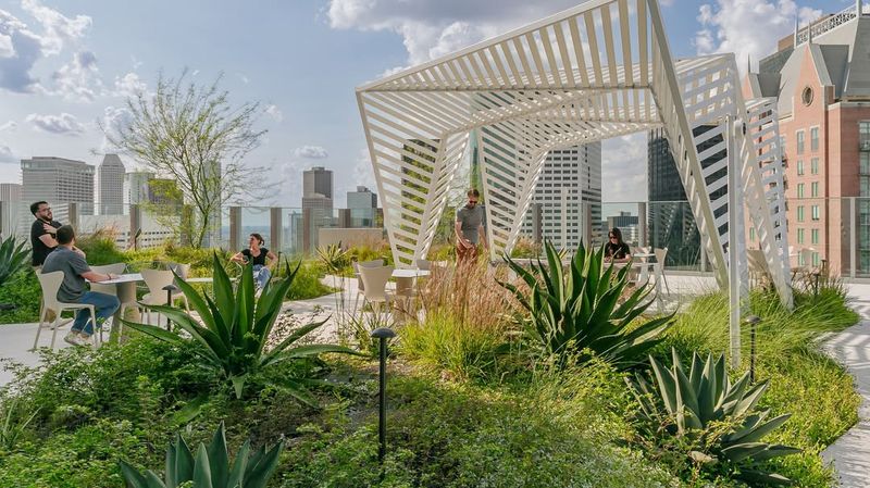 Installing Native Drought-Resistant Plants