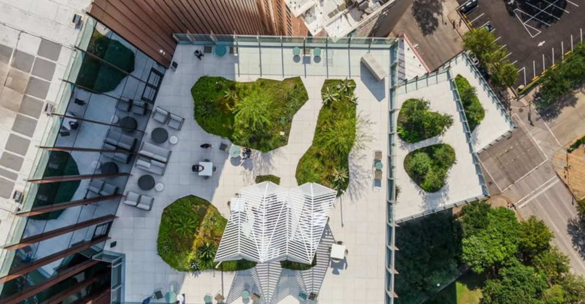 How Texas Residents Are Embracing Green Roofs For Cooler Homes
