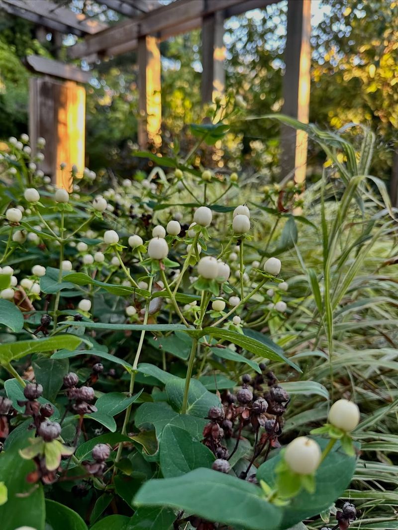 Diverse Specialty Gardens Create Unique Experiences