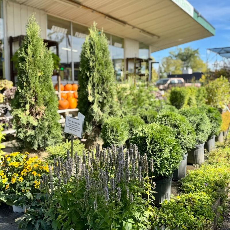 Cost Savings Through Early Planning