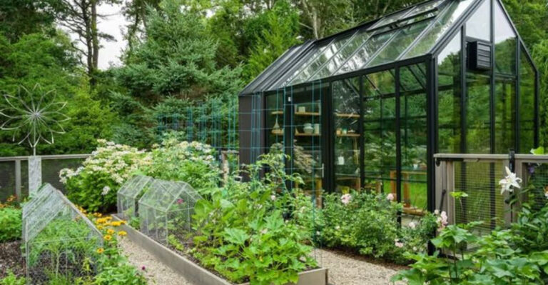 garden (featured image)