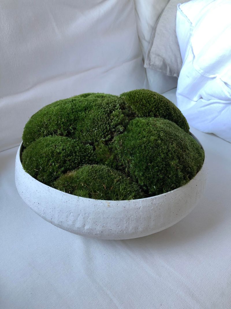 The Earthy Textures In Moss Bowls That Make Them So Addictive To Style