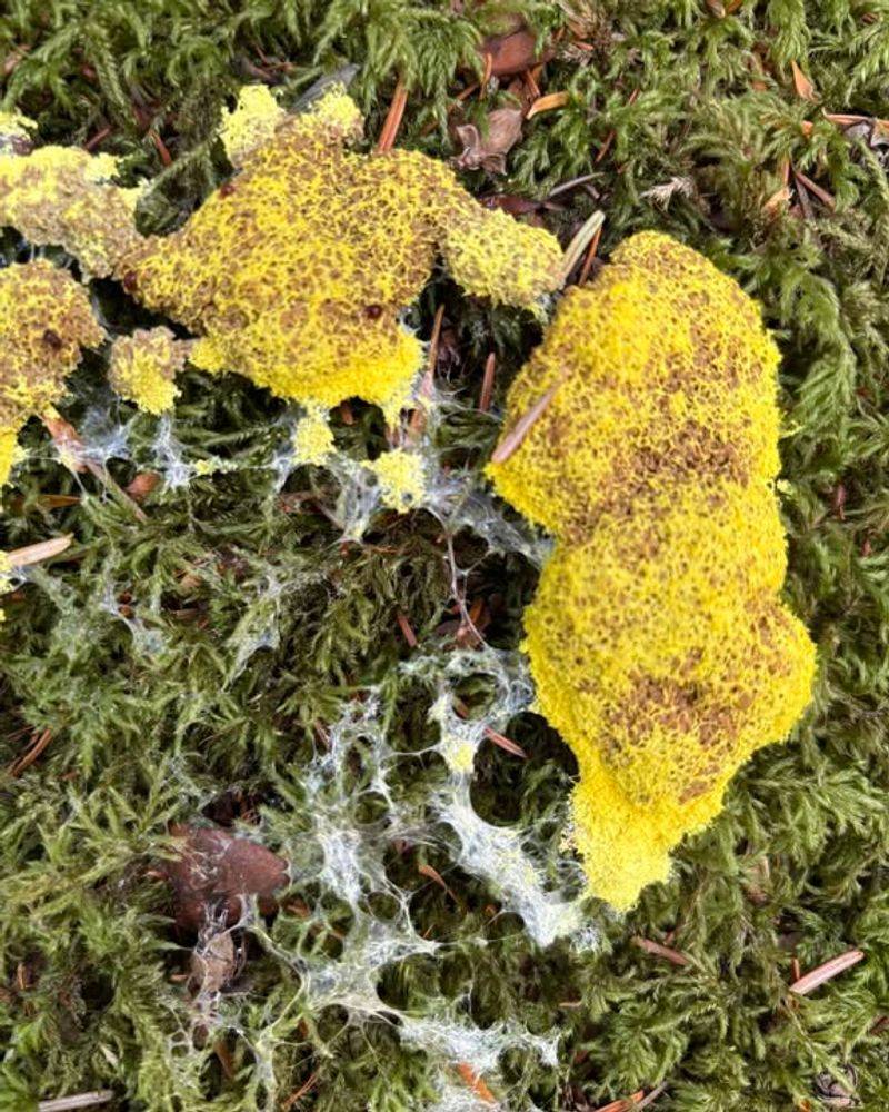 Why The Bright Orange Color Looks So Dramatic