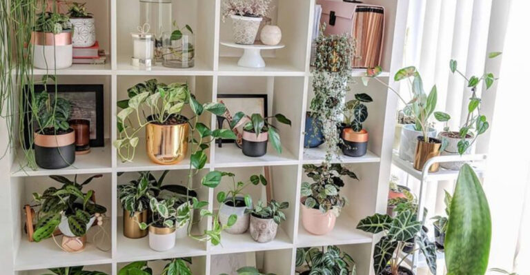 decorated plant shelf