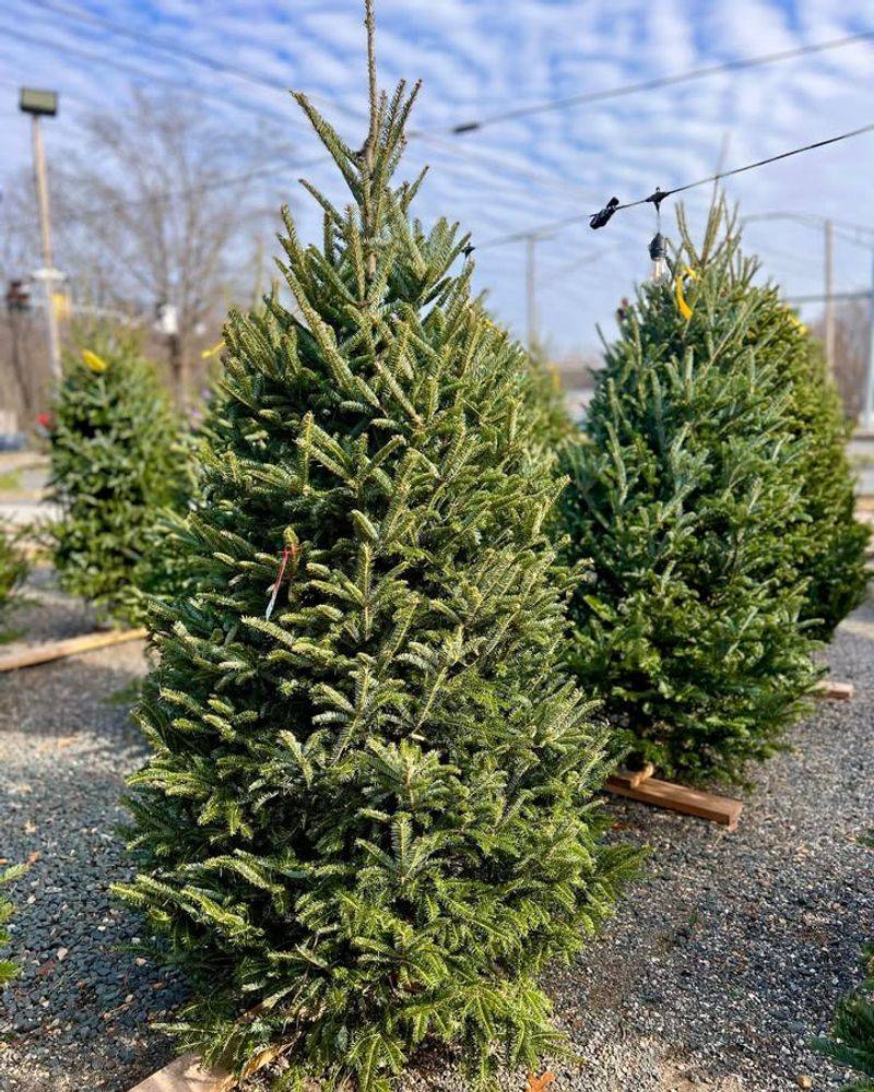 Consider Your Local Climate Zone