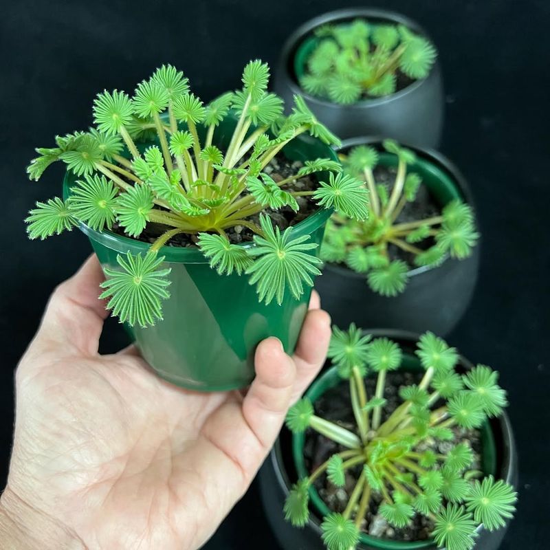 1. Find The Right Spot With Bright, Indirect Light