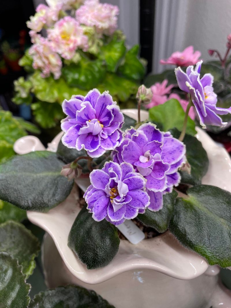 Provide Bright, Indirect Light