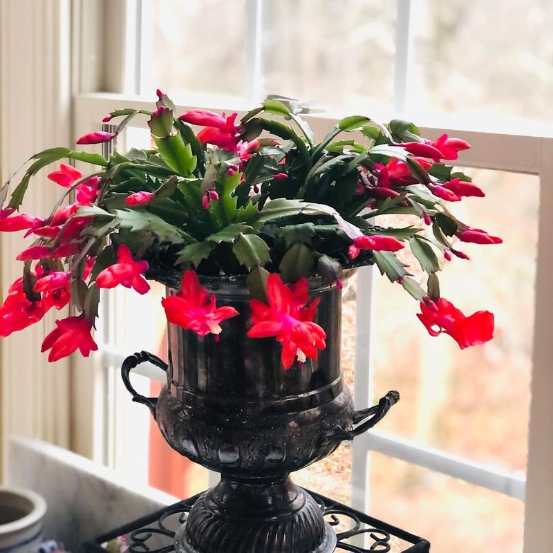 The Simple Care Tweaks That Support The Chill Boost